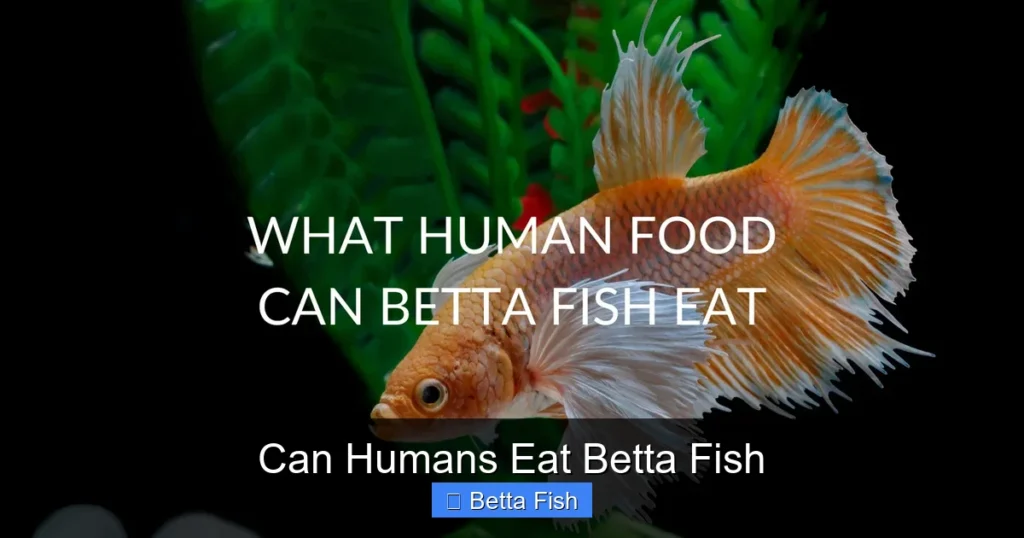 Can Humans Eat Betta Fish