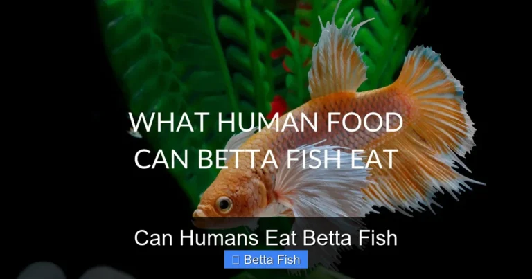 Can Humans Eat Betta Fish