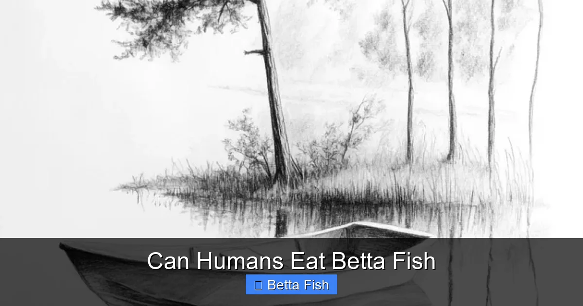 Can Humans Eat Betta Fish