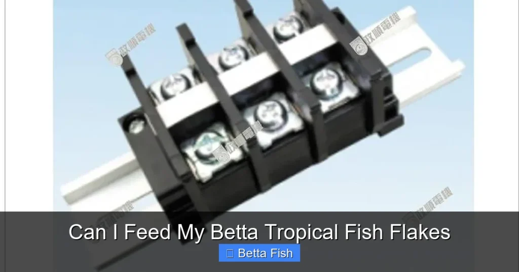 Can I Feed My Betta Tropical Fish Flakes