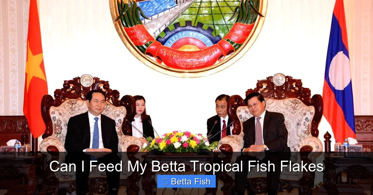 Can I Feed My Betta Tropical Fish Flakes
