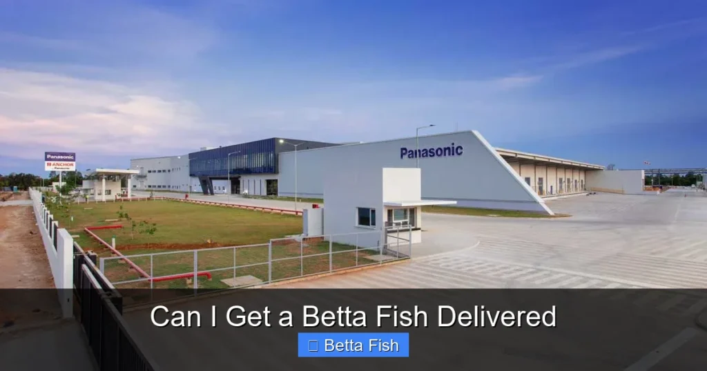 Can I Get a Betta Fish Delivered