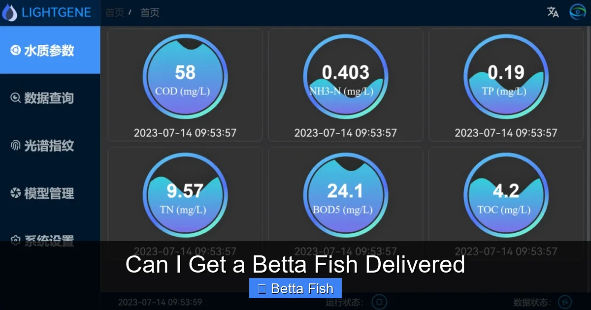 Can I Get a Betta Fish Delivered