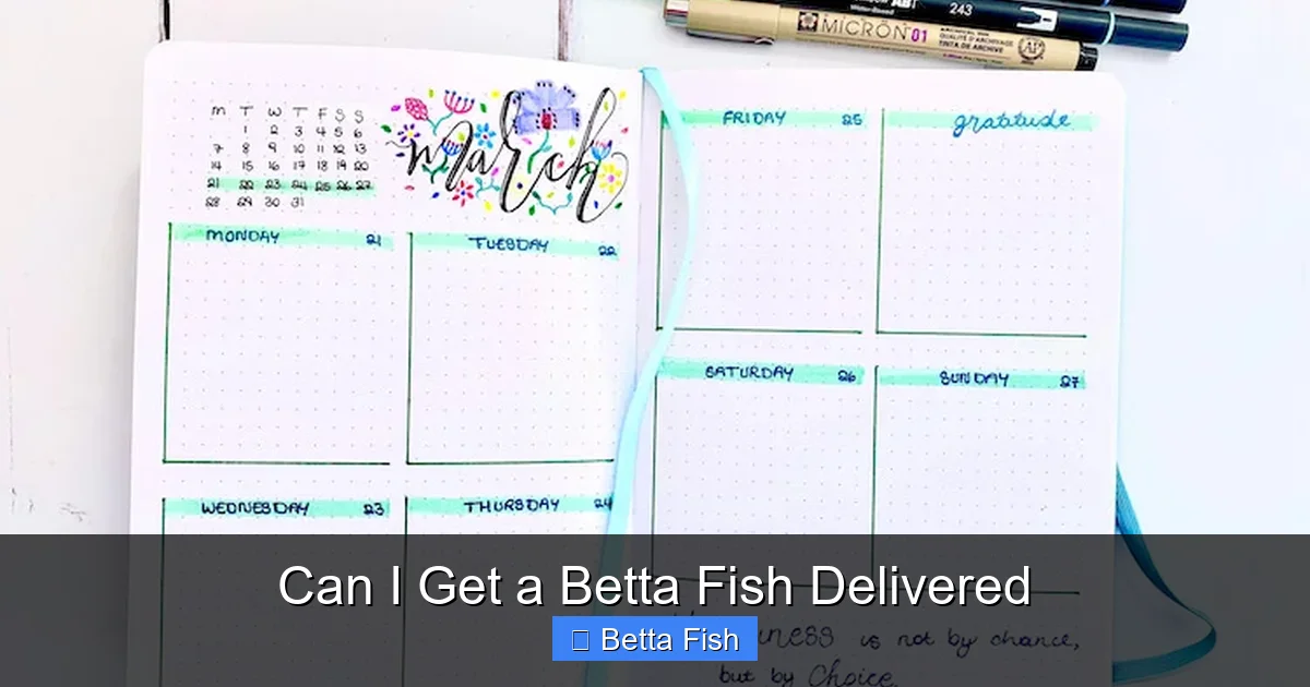 Can I Get a Betta Fish Delivered