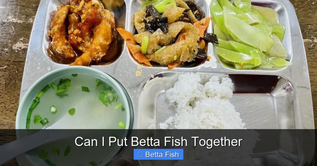 Can I Put Betta Fish Together