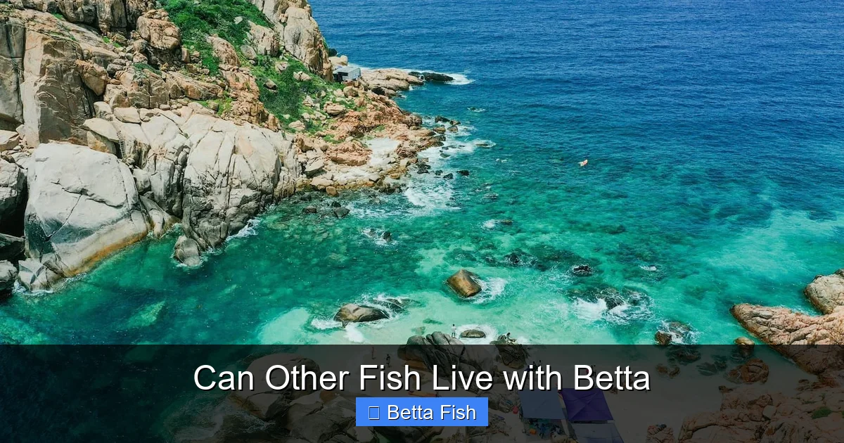 Can Other Fish Live with Betta