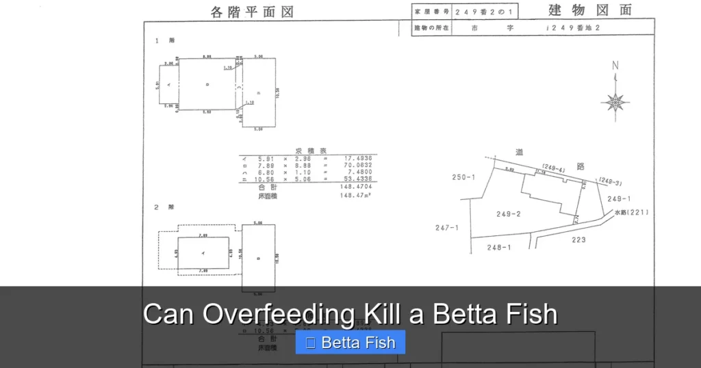 Can Overfeeding Kill a Betta Fish
