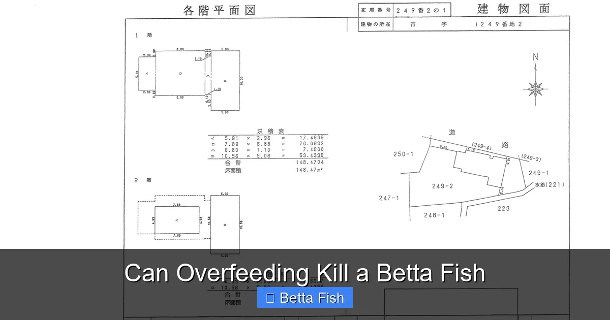 Can Overfeeding Kill a Betta Fish