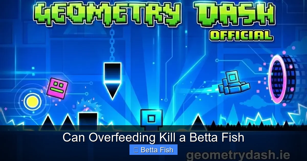 Can Overfeeding Kill a Betta Fish