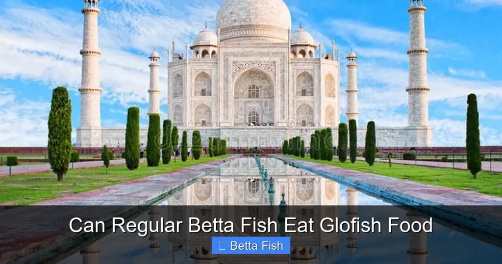 Can Regular Betta Fish Eat Glofish Food
