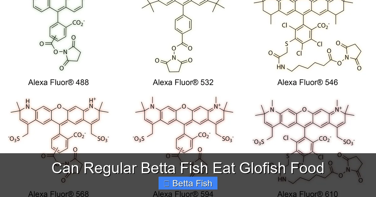 Can Regular Betta Fish Eat Glofish Food