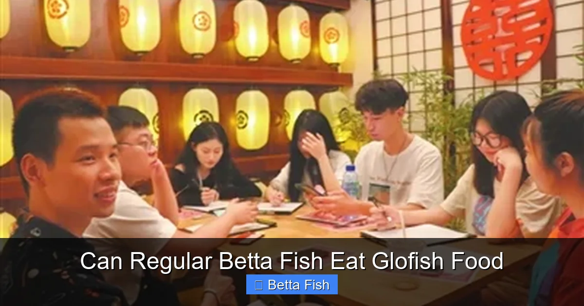 Can Regular Betta Fish Eat Glofish Food