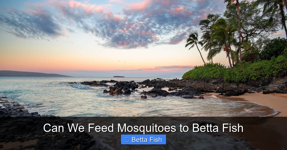 Can We Feed Mosquitoes to Betta Fish