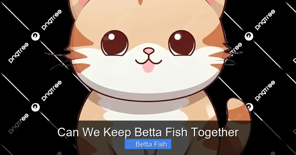 Can We Keep Betta Fish Together