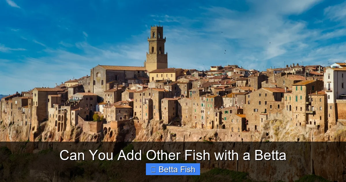 Can You Add Other Fish with a Betta