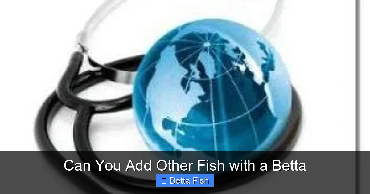 Can You Add Other Fish with a Betta