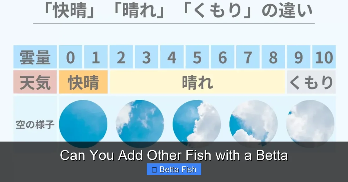 Can You Add Other Fish with a Betta