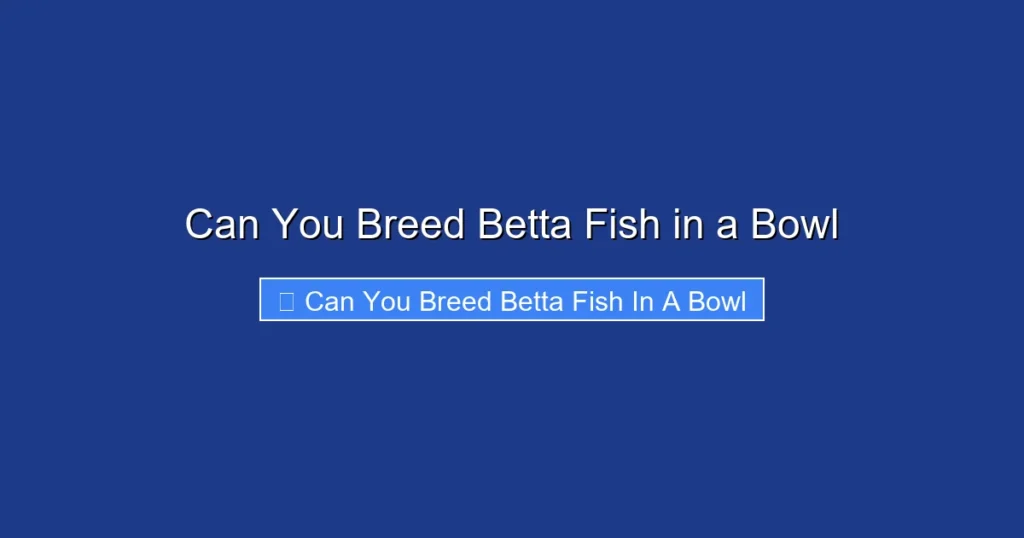 Can You Breed Betta Fish in a Bowl