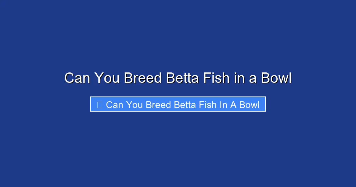 Can You Breed Betta Fish in a Bowl