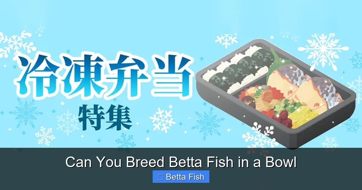 Can You Breed Betta Fish in a Bowl