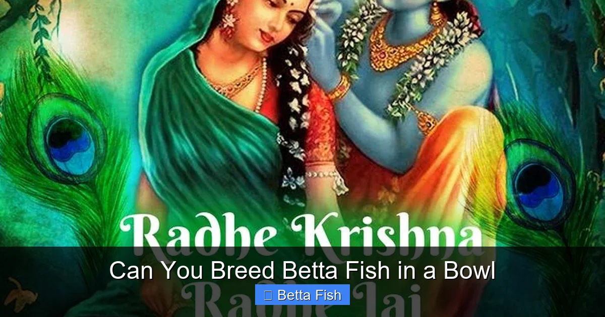 Can You Breed Betta Fish in a Bowl