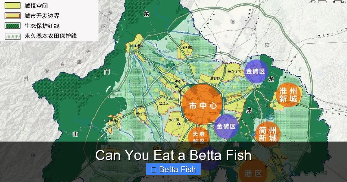 Can You Eat a Betta Fish