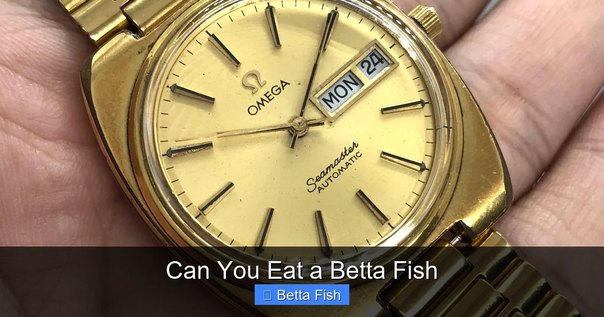 Can You Eat a Betta Fish