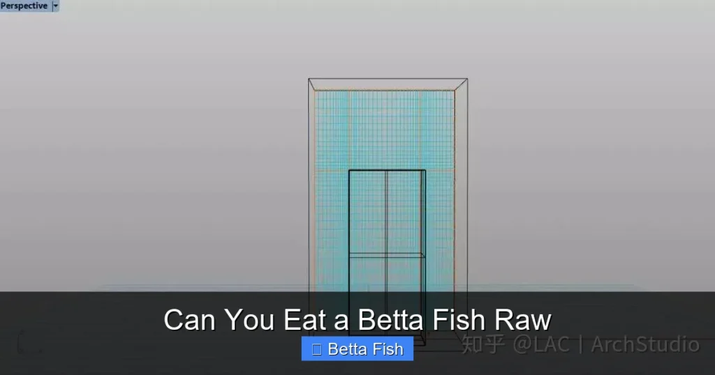 Can You Eat a Betta Fish Raw