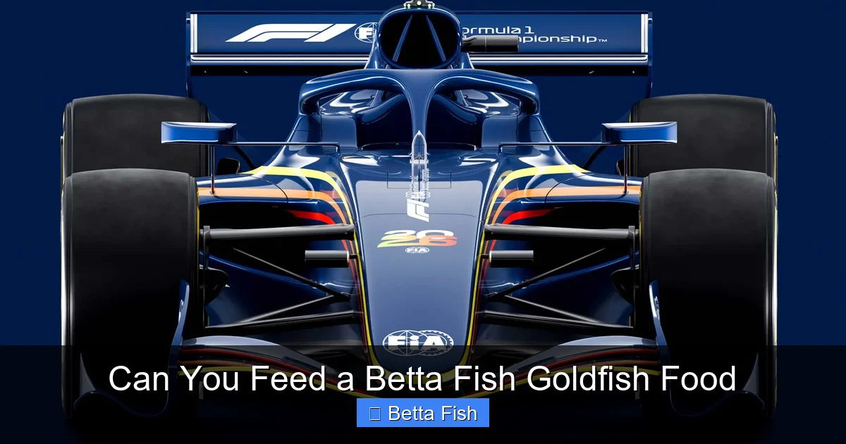 Can You Feed a Betta Fish Goldfish Food