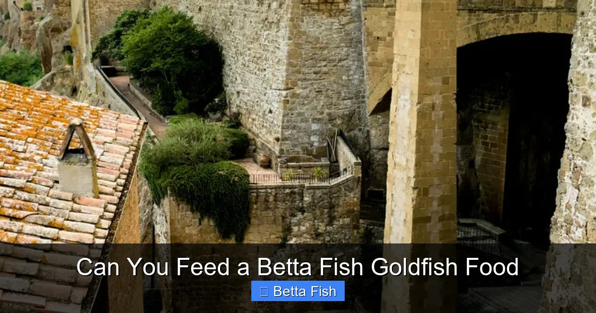 Can You Feed a Betta Fish Goldfish Food