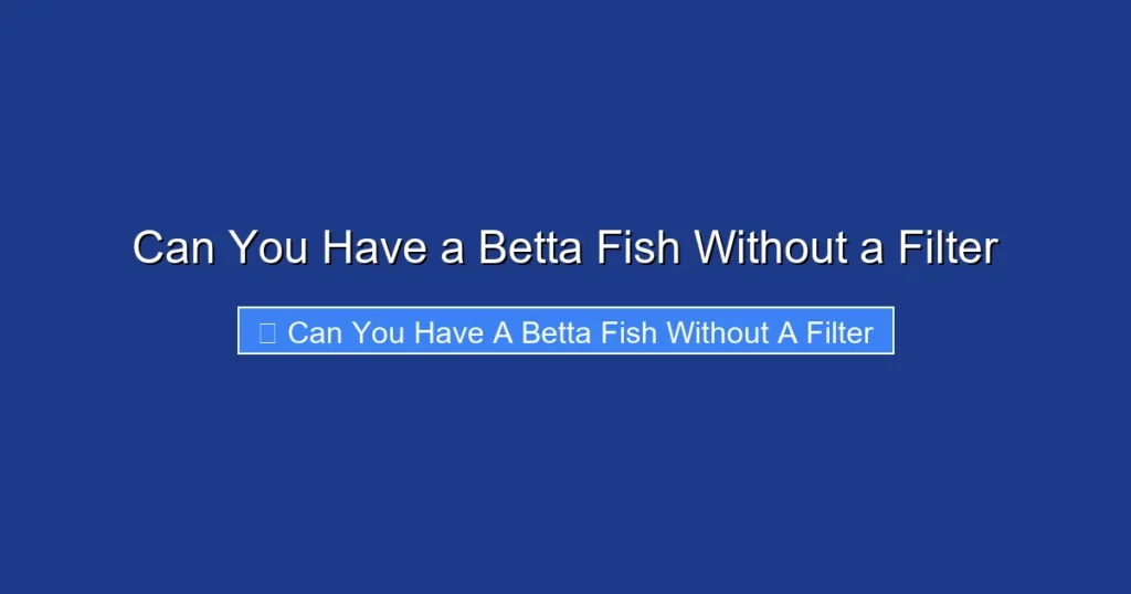 Can You Have a Betta Fish Without a Filter