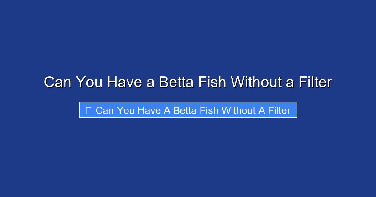 Can You Have a Betta Fish Without a Filter