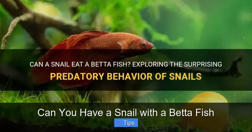 Can You Have a Snail with a Betta Fish