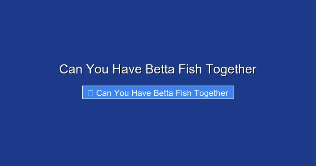 Can You Have Betta Fish Together