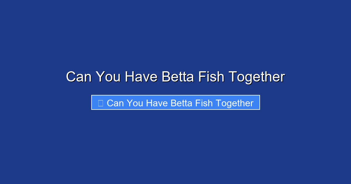 Can You Have Betta Fish Together