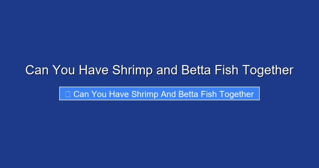 Can You Have Shrimp and Betta Fish Together