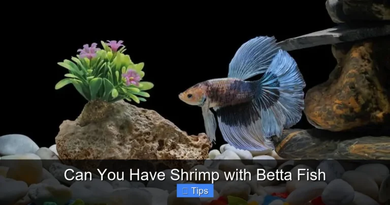 Can You Have Shrimp with Betta Fish