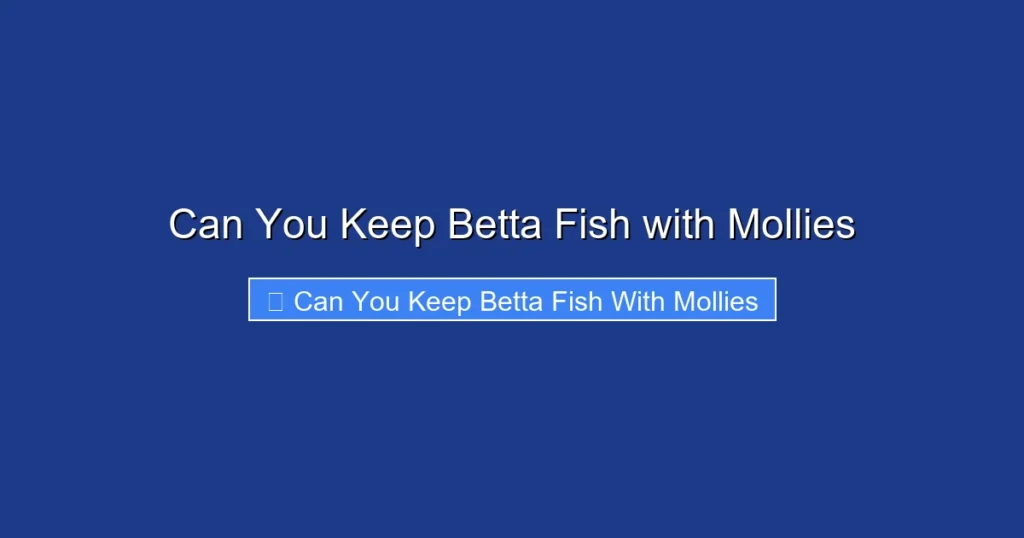 Can You Keep Betta Fish with Mollies