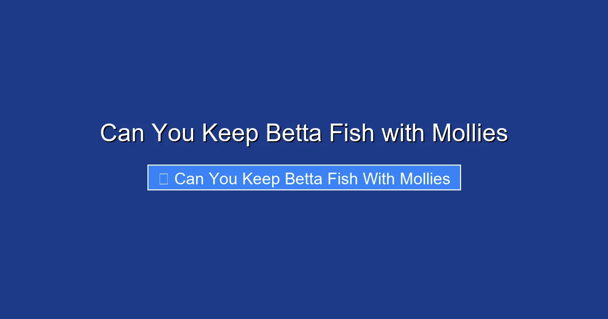 Can You Keep Betta Fish with Mollies