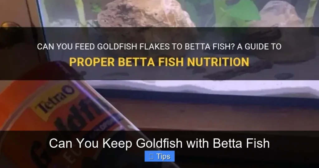 Can You Keep Goldfish with Betta Fish