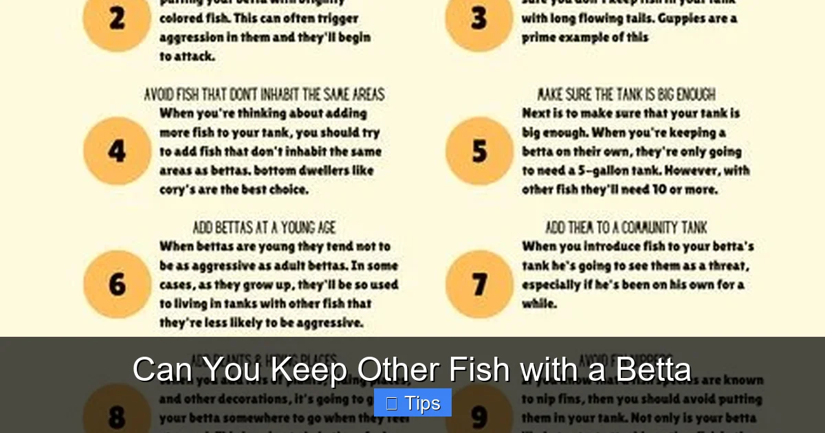 Can You Keep Other Fish with a Betta