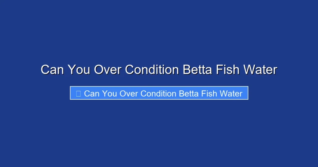 Can You Over Condition Betta Fish Water