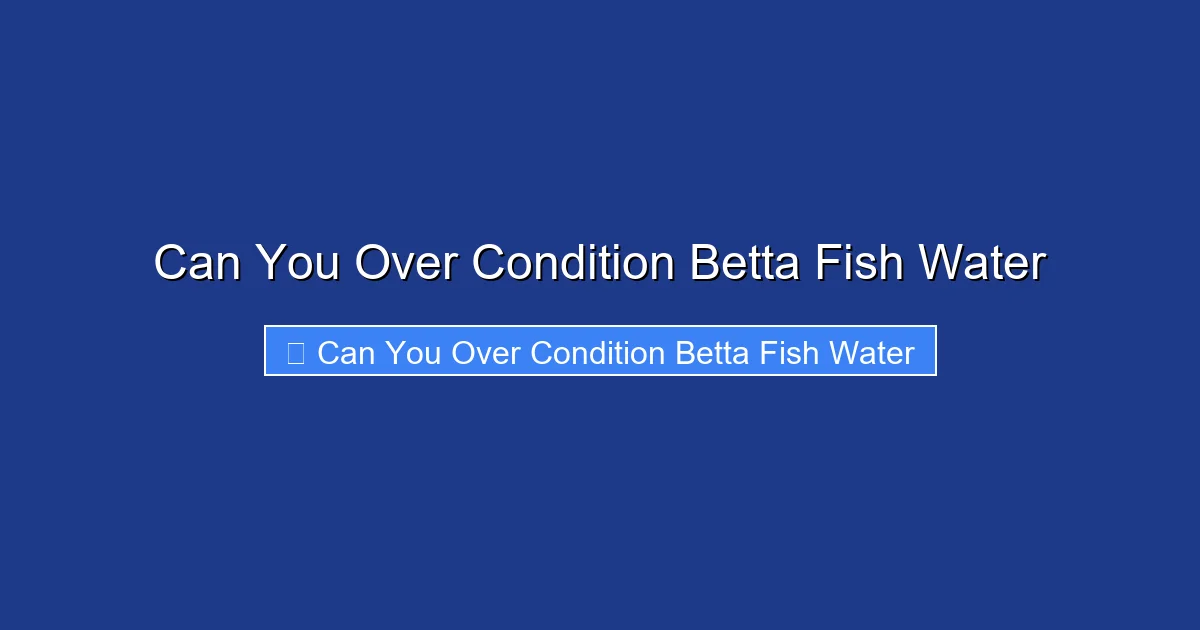 Can You Over Condition Betta Fish Water