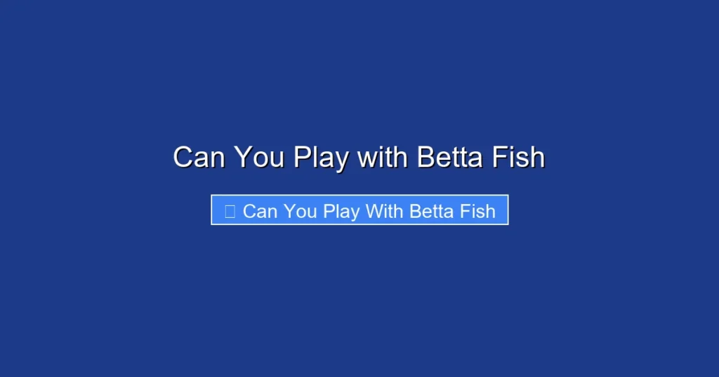 Can You Play with Betta Fish