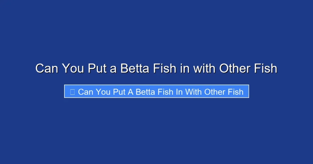 Can You Put a Betta Fish in with Other Fish