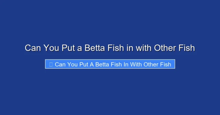 Can You Put a Betta Fish in with Other Fish