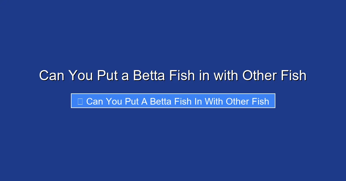 Can You Put a Betta Fish in with Other Fish