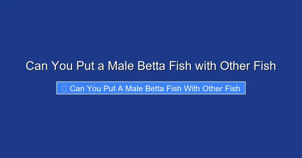 Can You Put a Male Betta Fish with Other Fish