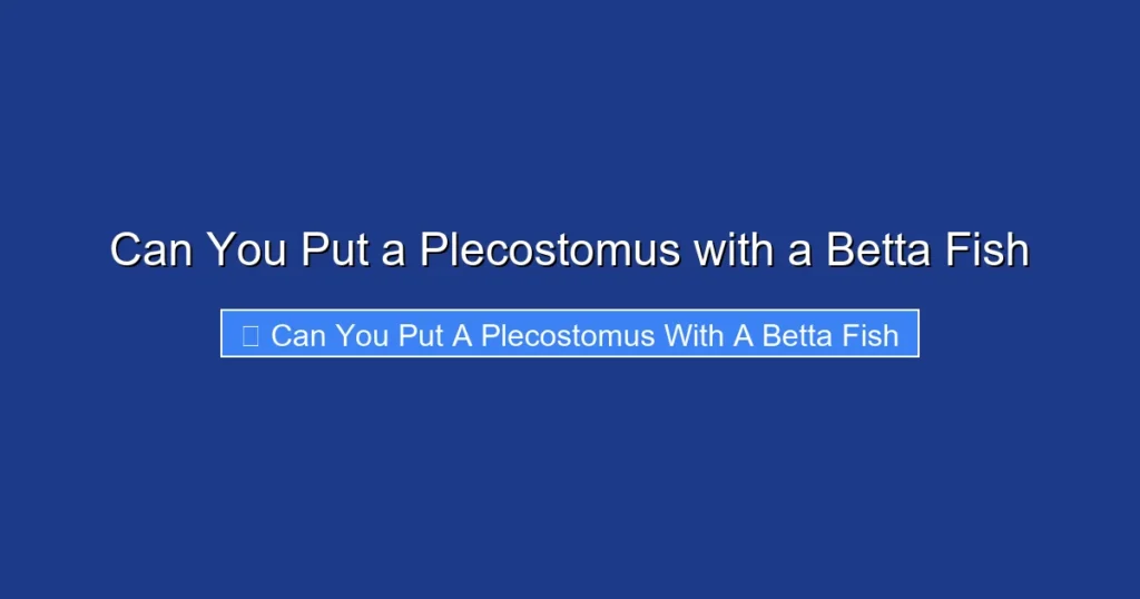 Can You Put a Plecostomus with a Betta Fish
