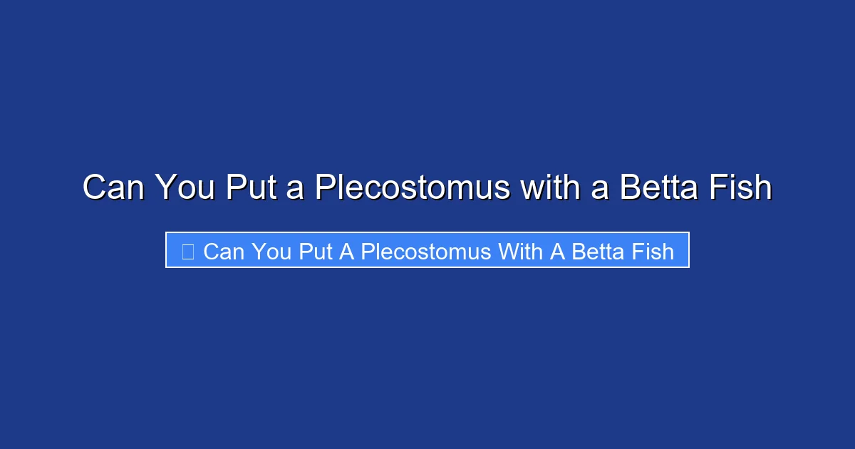 Can You Put a Plecostomus with a Betta Fish